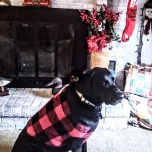 Meet your Posher, Darlene